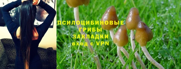 ПСИЛОЦИБИНОВЫЕ ГРИБЫ Алексеевка