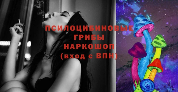 ПСИЛОЦИБИНОВЫЕ ГРИБЫ Алексеевка